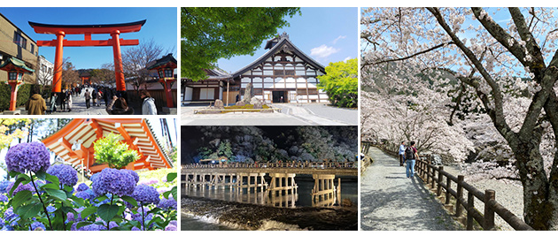 京都府対応エリア